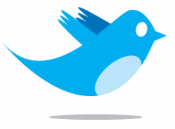 twitter.gif